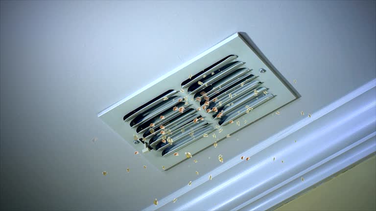 Best Air Vent Cleaning Services  in Freeland, PA