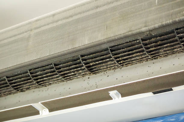 Best Commercial HVAC Duct Cleaning  in Freeland, PA